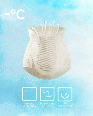 Fat Burning Lce Silk Lonic Fiber Shaping Shorts