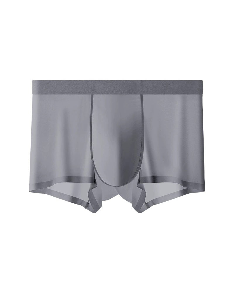 Men's Ice Silk Underwear
