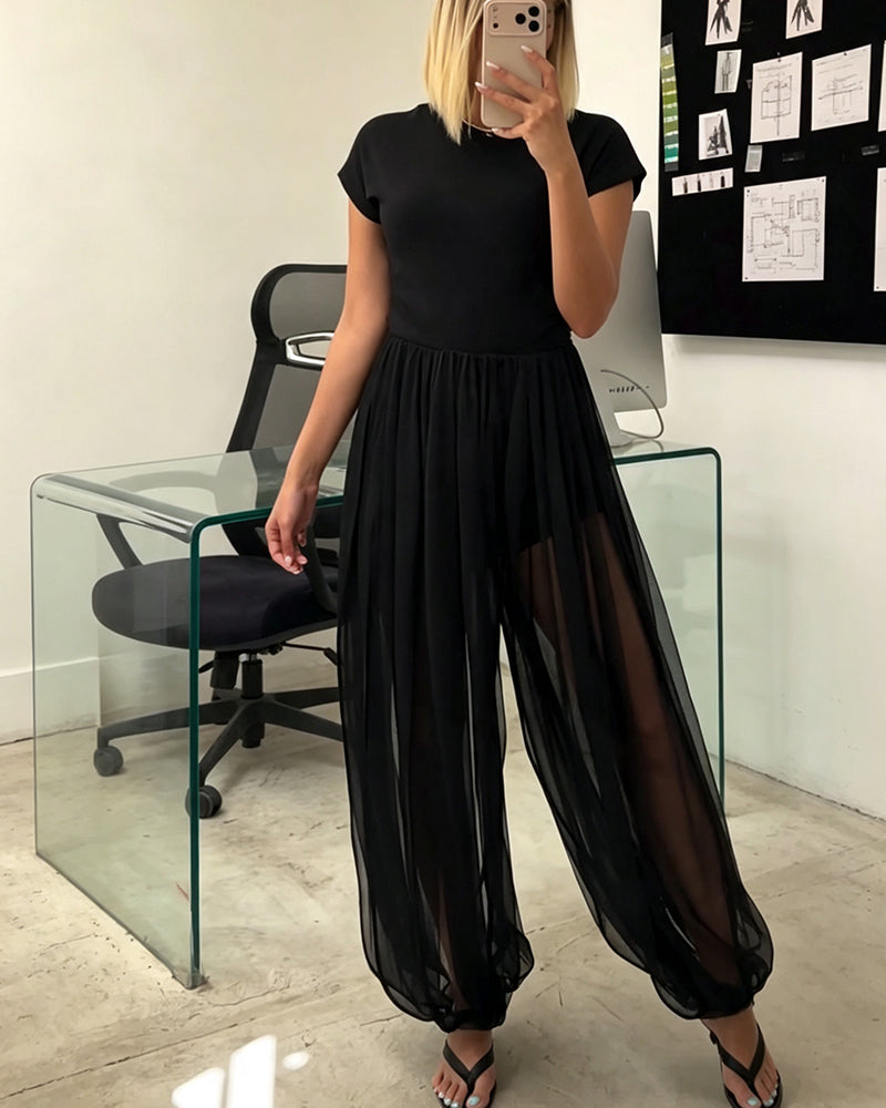 Stylish Pleated Sheer Pants