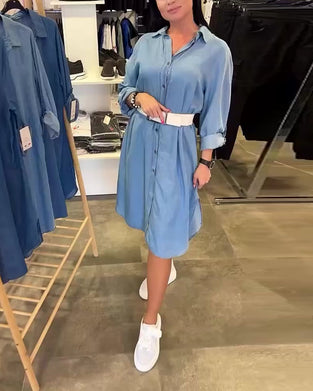 Lapel Long Sleeve Dress