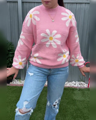 Jacquard Fashion Round Neck Pullover