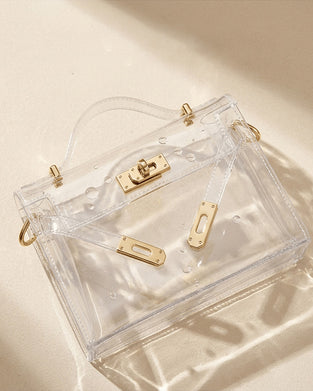 Women's Transparent Jelly Bag