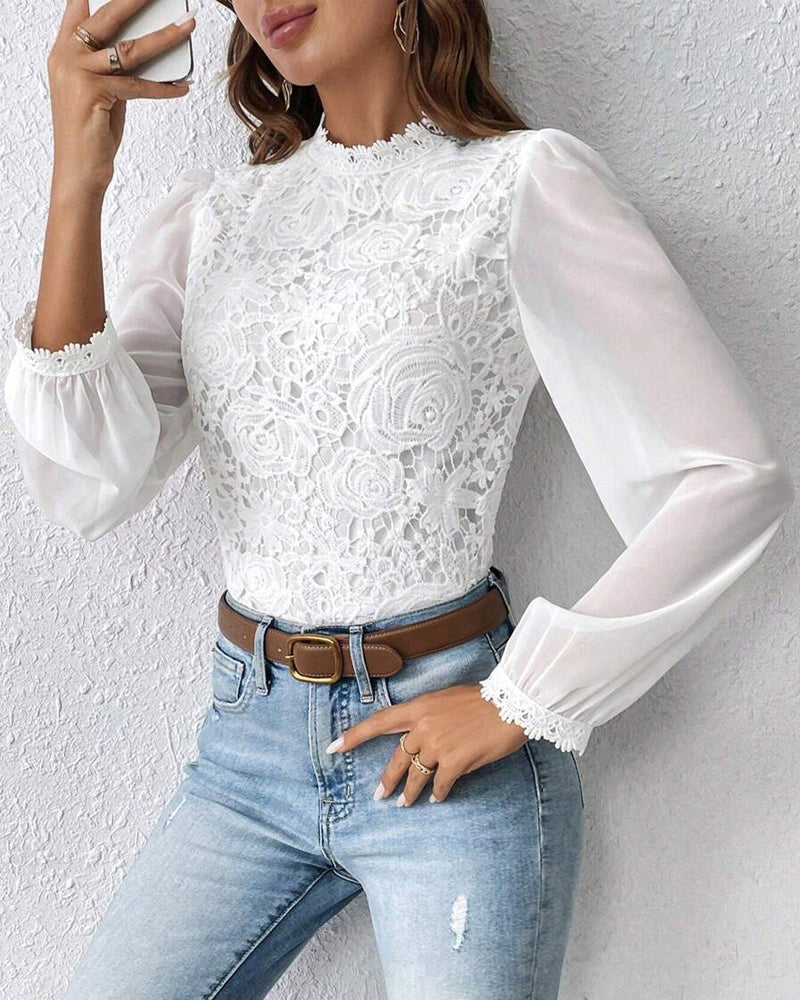 Lace Long Sleeve Elegant Top