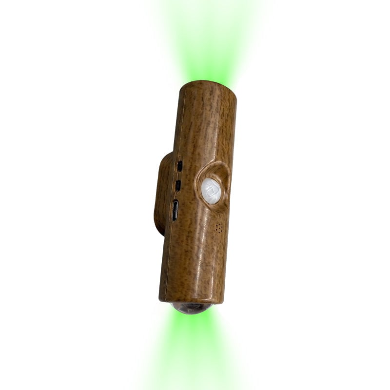 Dual-Head Cat's Eye Sensor Wall Light