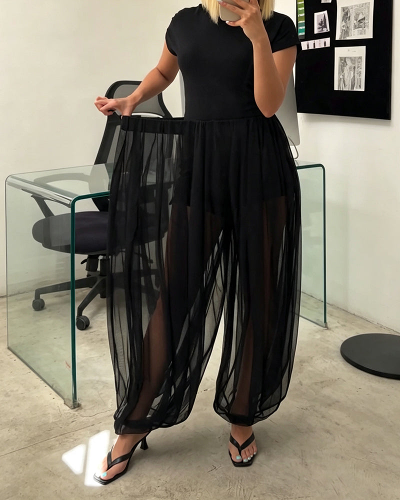 Stylish Pleated Sheer Pants