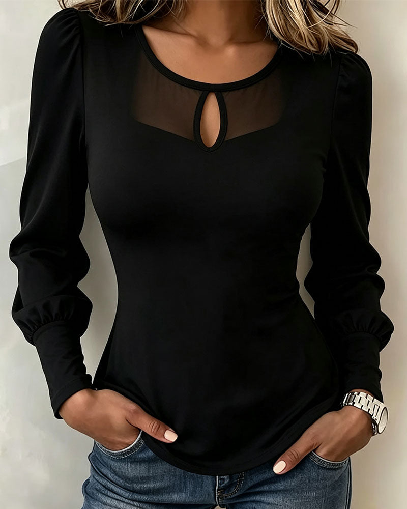 Mesh Hollow Puff Long-Sleeved Top